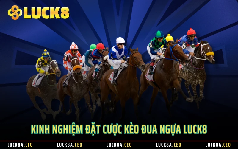 Kinh nghiệm đặt cược kèo đua ngựa LUCK8